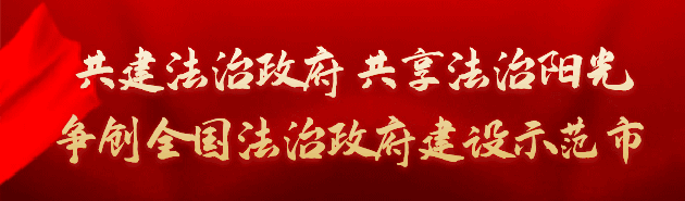 儿童篮球培训中智能情感的应用案例_2